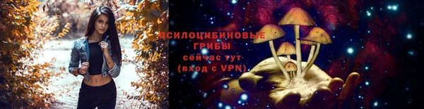 марки lsd Богданович