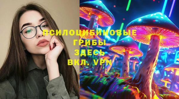 гидра Богородицк