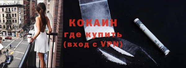 прущие грибы Беломорск