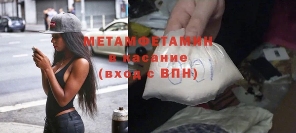 гидра Богородицк