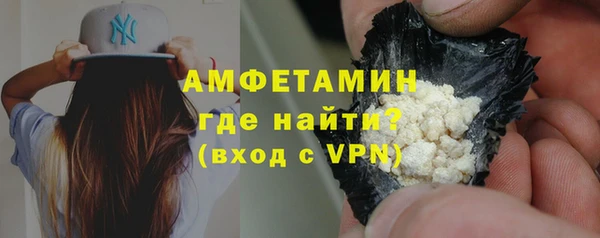 гидра Богородицк