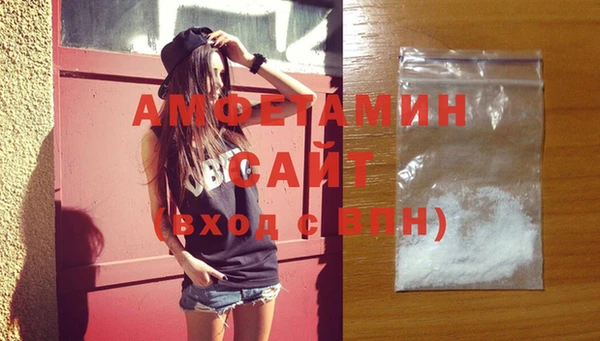 гидра Богородицк