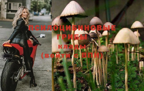 гидра Богородицк