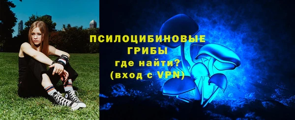 марки lsd Богданович