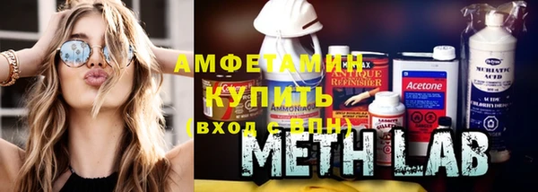 гидра Богородицк