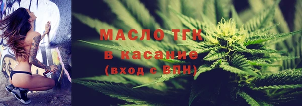 гидра Богородицк