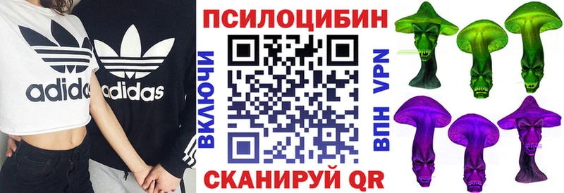 Галлюциногенные грибы мицелий  Буинск 